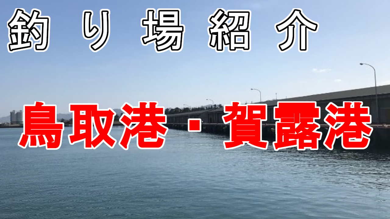 釣り場紹介鳥取港