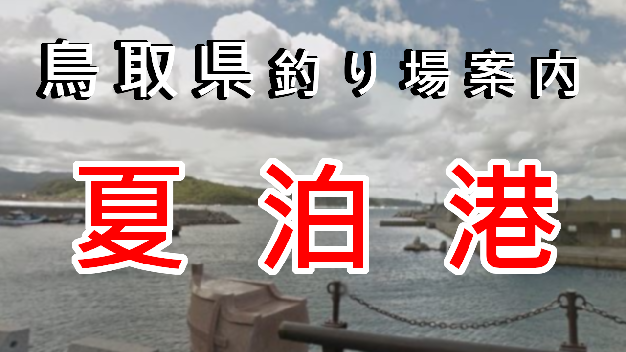 鳥取県釣り場案内夏泊港