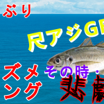 鳥取アジング釣果報告