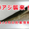 鳥取県10月の釣果情報