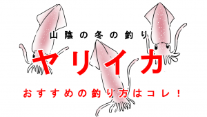 ヤリイカ釣り