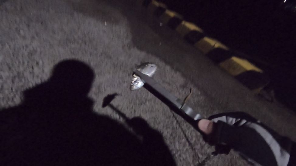 秋アジング 鳥取県東部漁港アジング調査 釣果情報 サバング