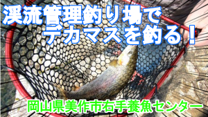 右手養魚センター釣果