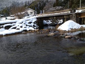 右手養魚センター