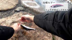 右手養魚センター