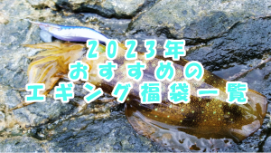2023年エギング福袋