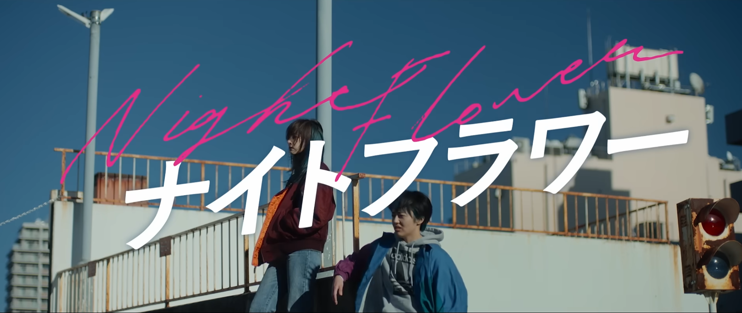 映画ナイトフラワー